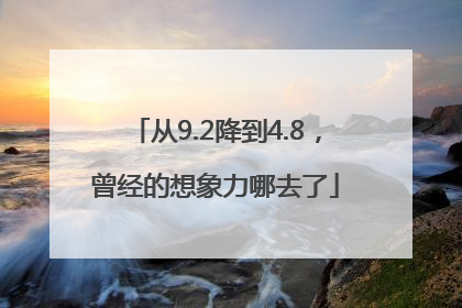 从9.2降到4.8，曾经的想象力哪去了